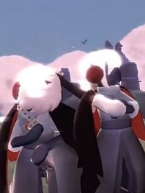 猫咪社区视频在线观看免费完整版